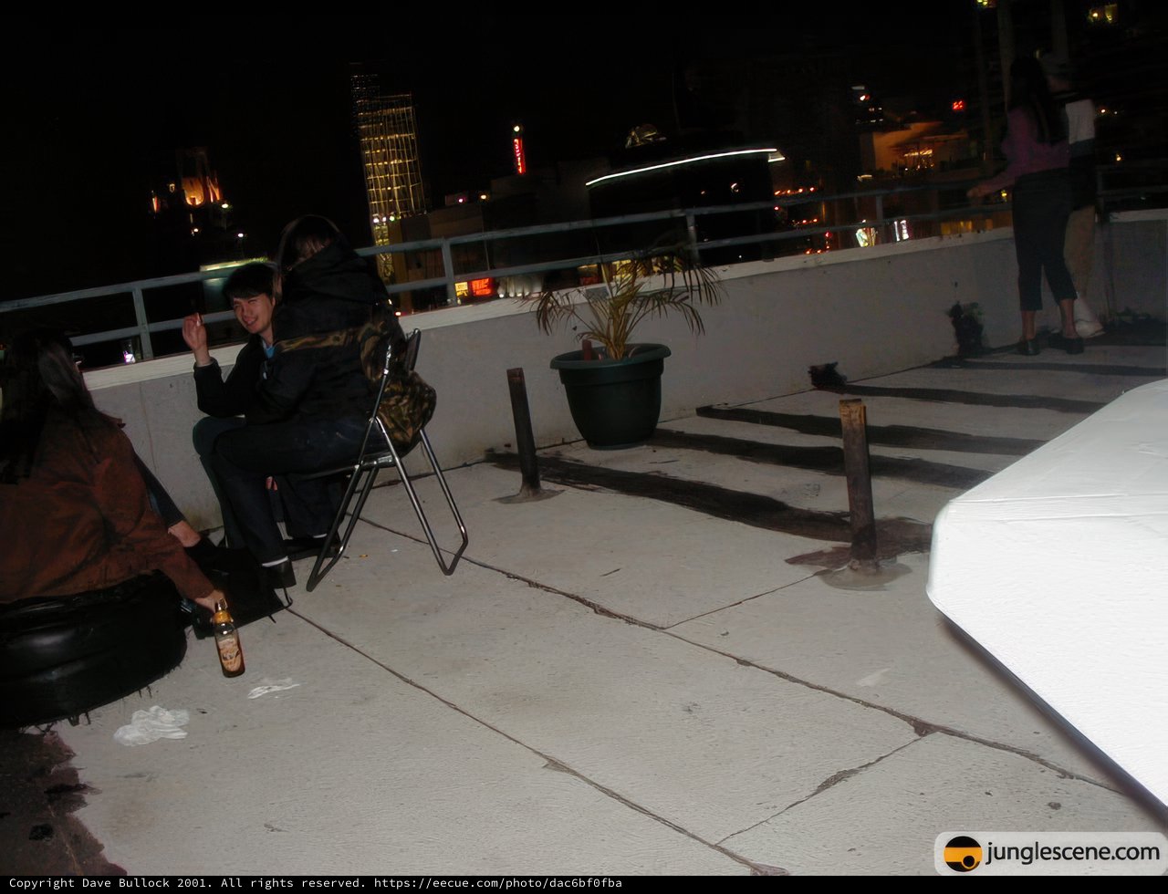 Rooftop Party under the Night Sky