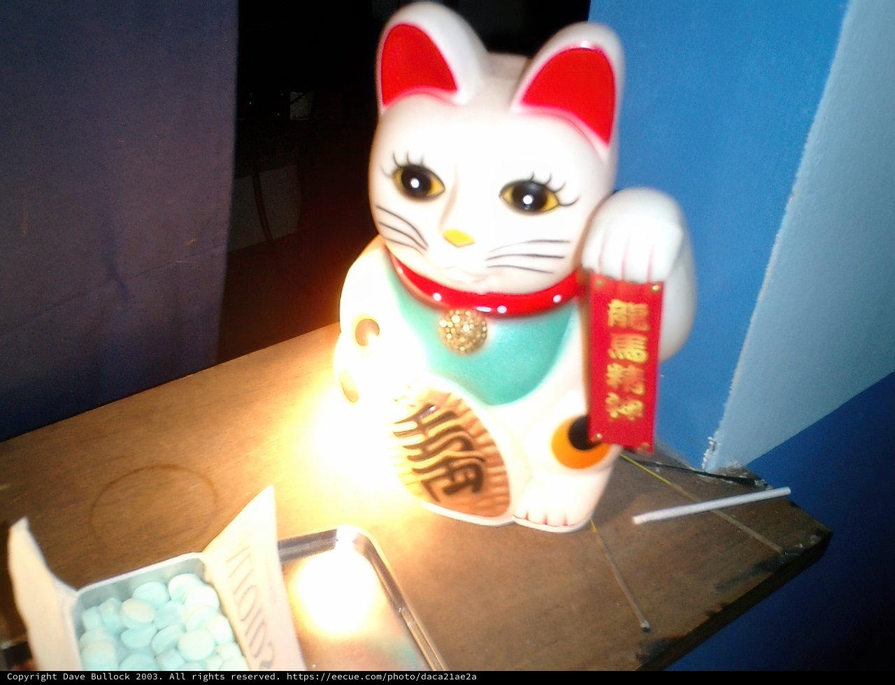 Maneki Neko Lamp on a Table