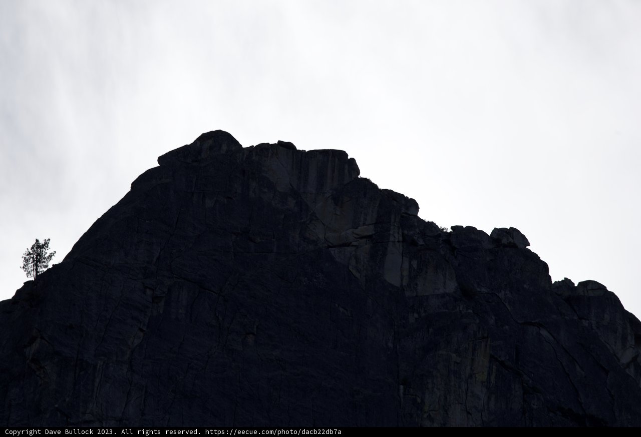 Solitary Sentinel of Yosemite