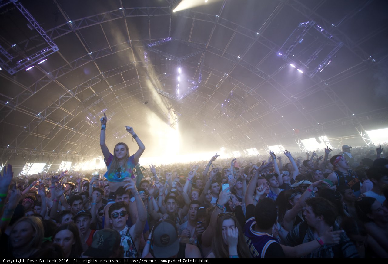 Frenzied Fun at Coachella Concert