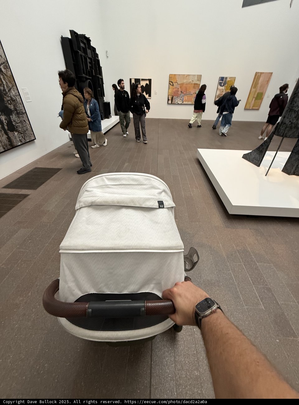 Artful Stroll Through de Young