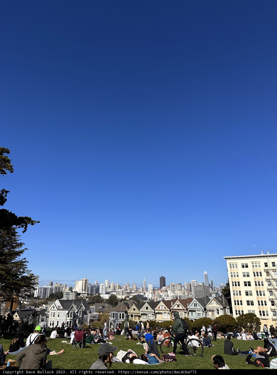 Sunny Afternoon at Alamo Square