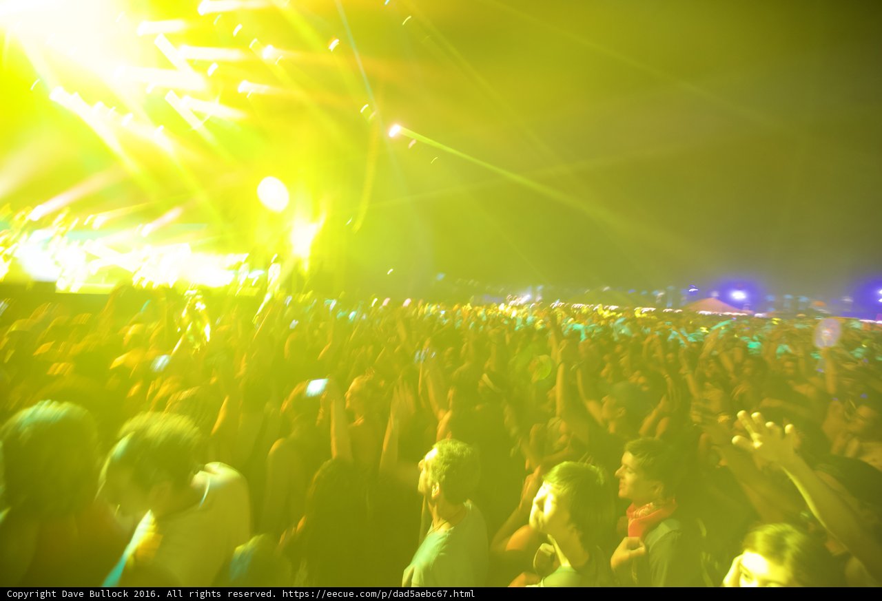 Grooving with the Crowd