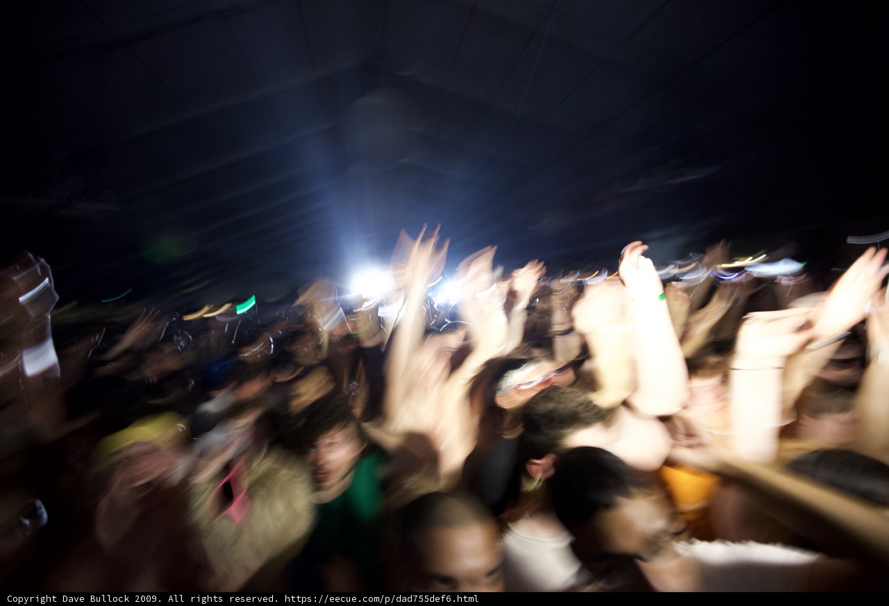 Coachella 2009 Crowd Grooves