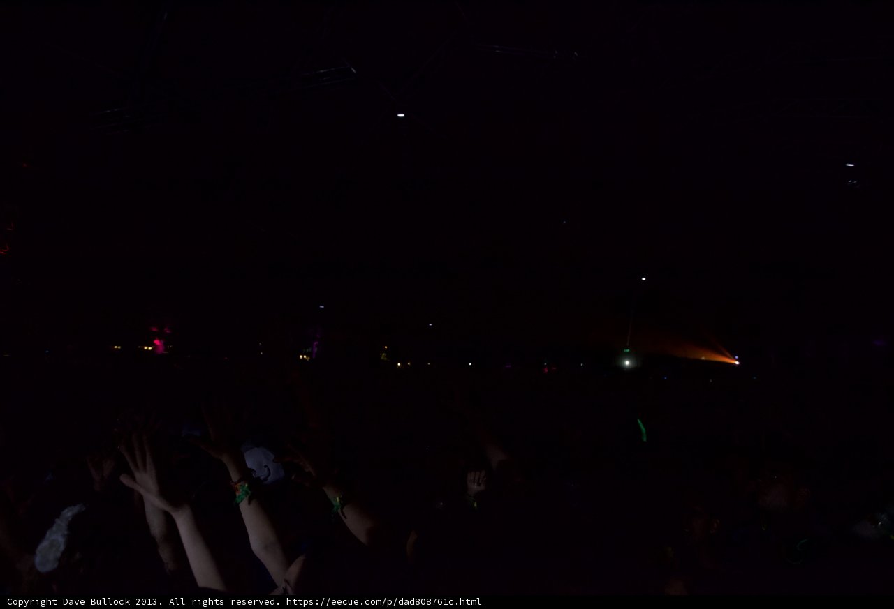Hands Up at Coachella