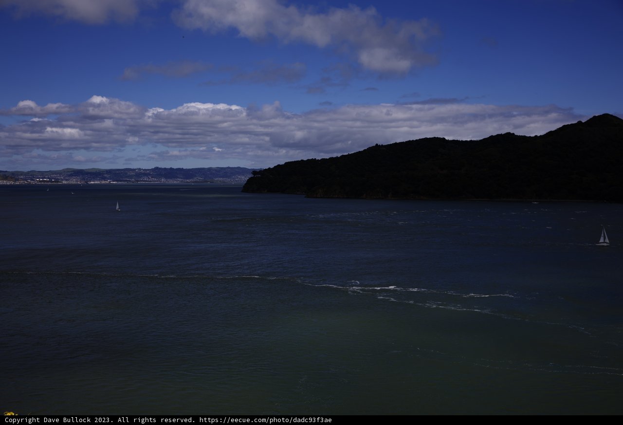 Sailing Through the Scenic Waters of Tiburon