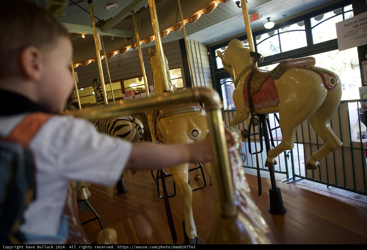 Childhood Wonder at the Carousel