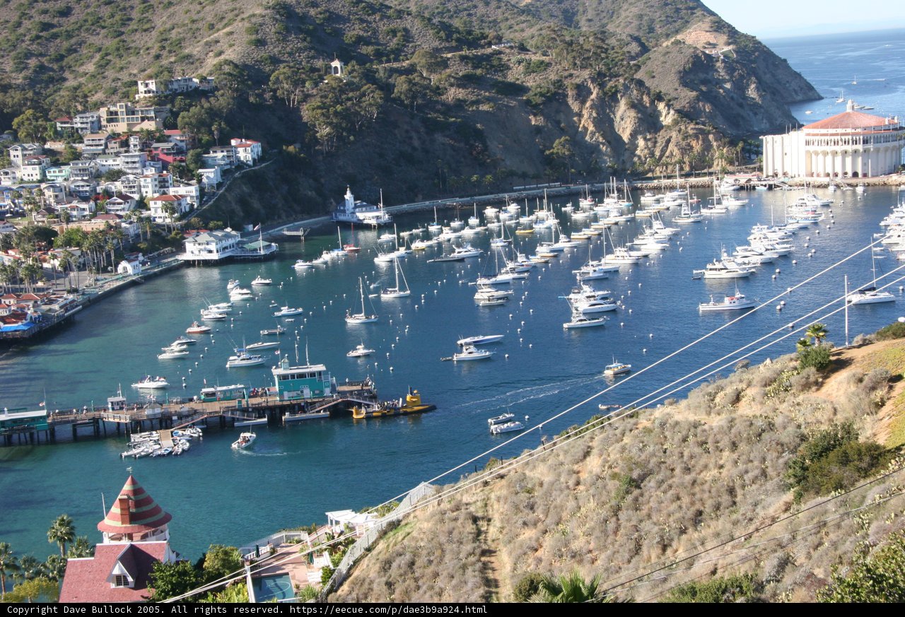 Peaceful harbor scene