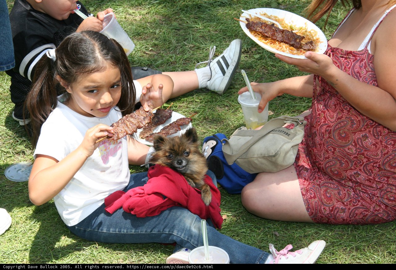 Enjoying a Picnic on the Grass
