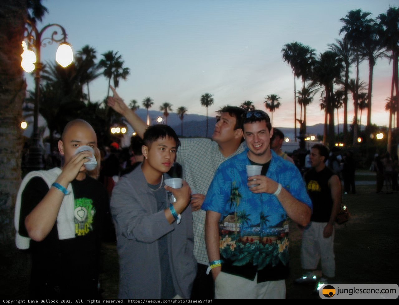 Palm Trees and Party People