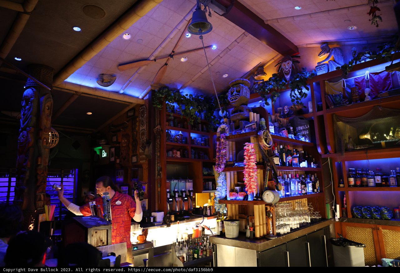 The Nightlife of Disneyland
