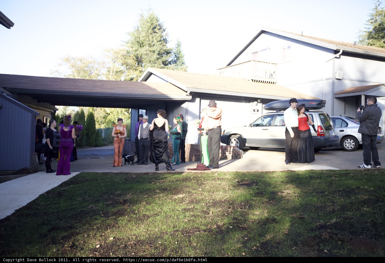 The Wedding Party at the Wickstrom House