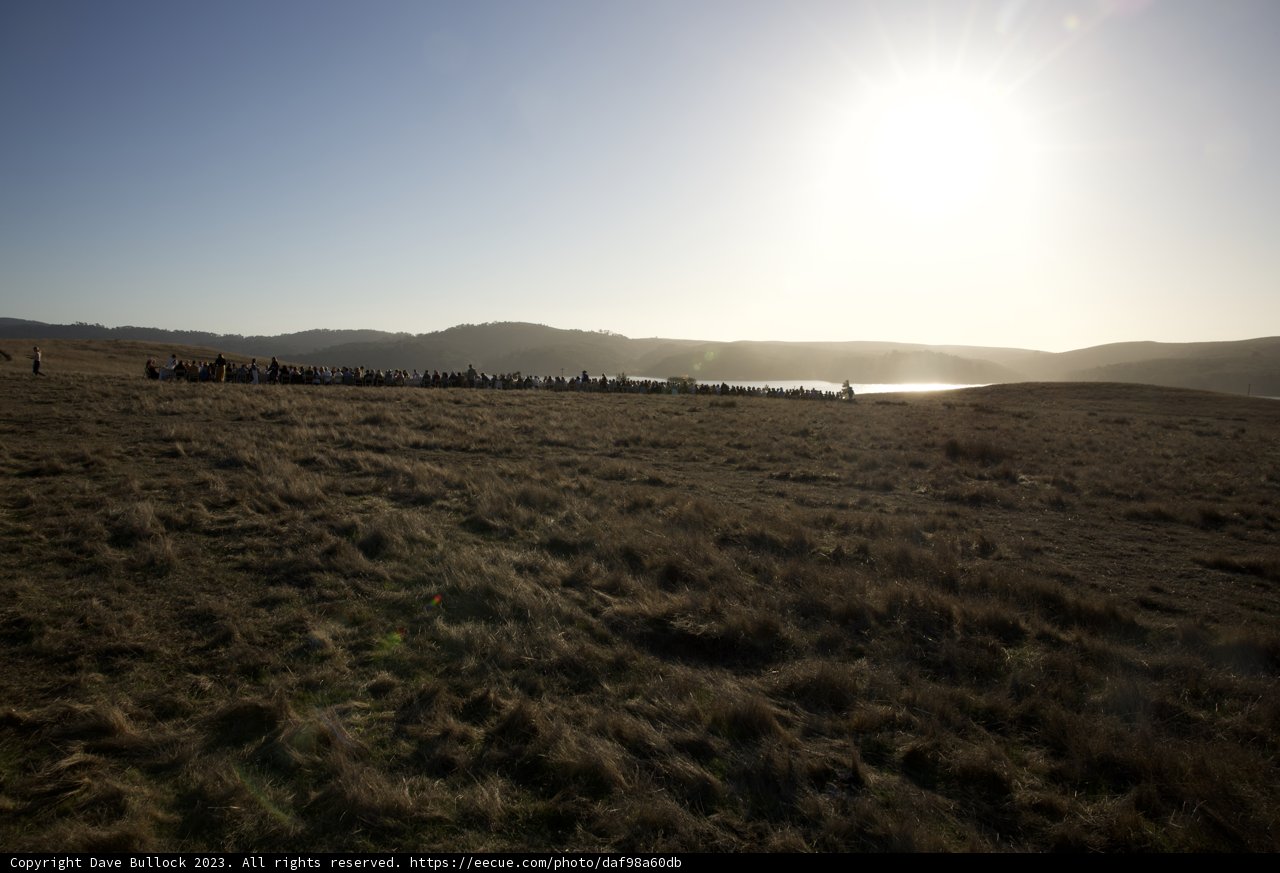 The Field Gathering Under the Pristine Sky