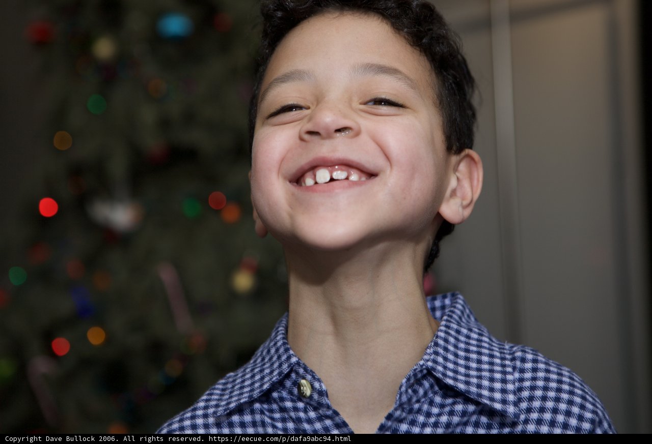 Christmas Cheer