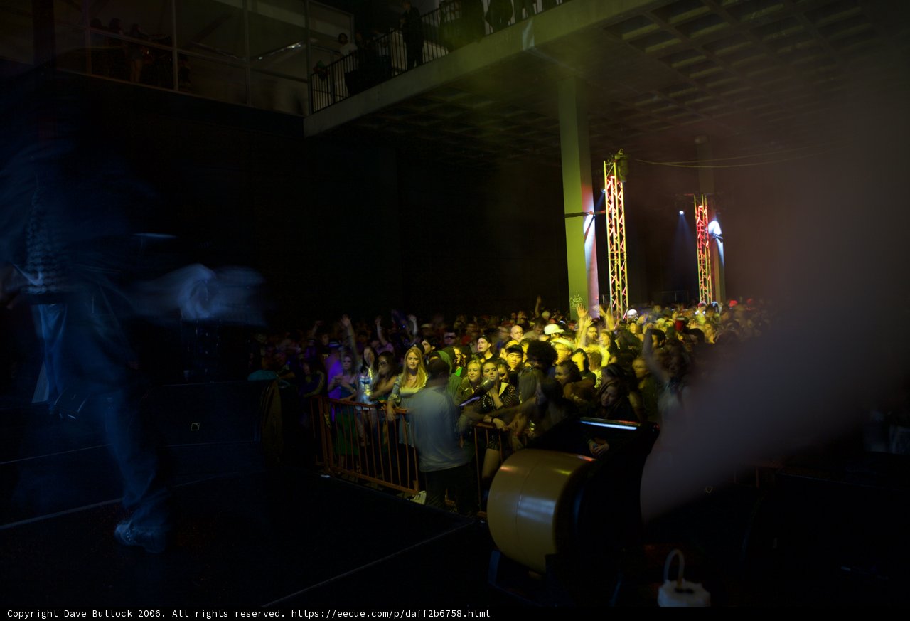 Raving with 13 People at the Tao Concert