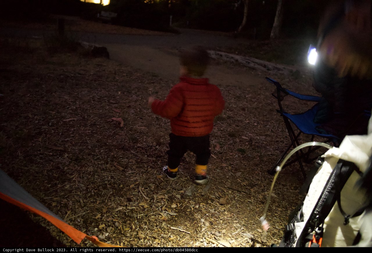 Guiding Light in Presidio's Twilight