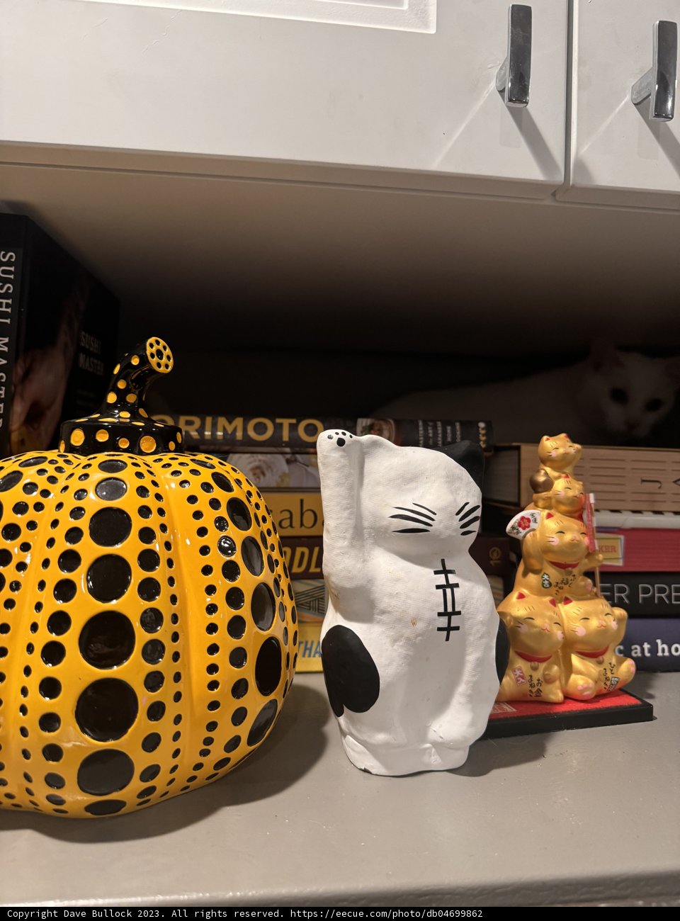 October's Festive Figure: The Pumpkin Piggy Bank
