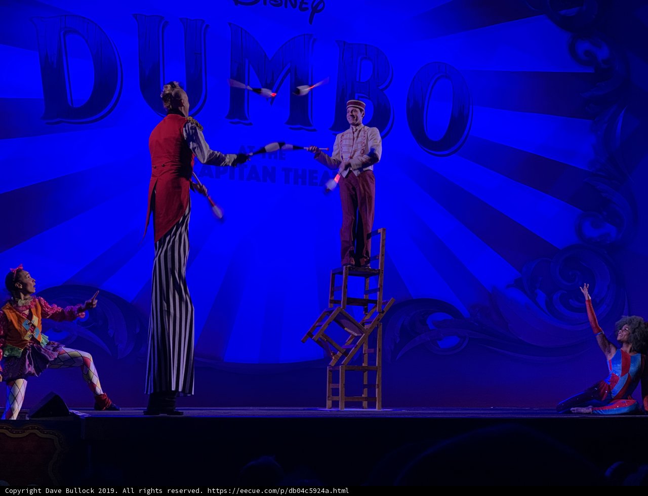 Dancing Through the Circus of the Mind