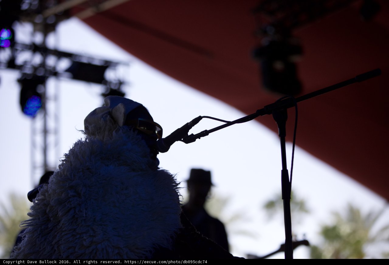 Fur-Covered Crooner in Concert