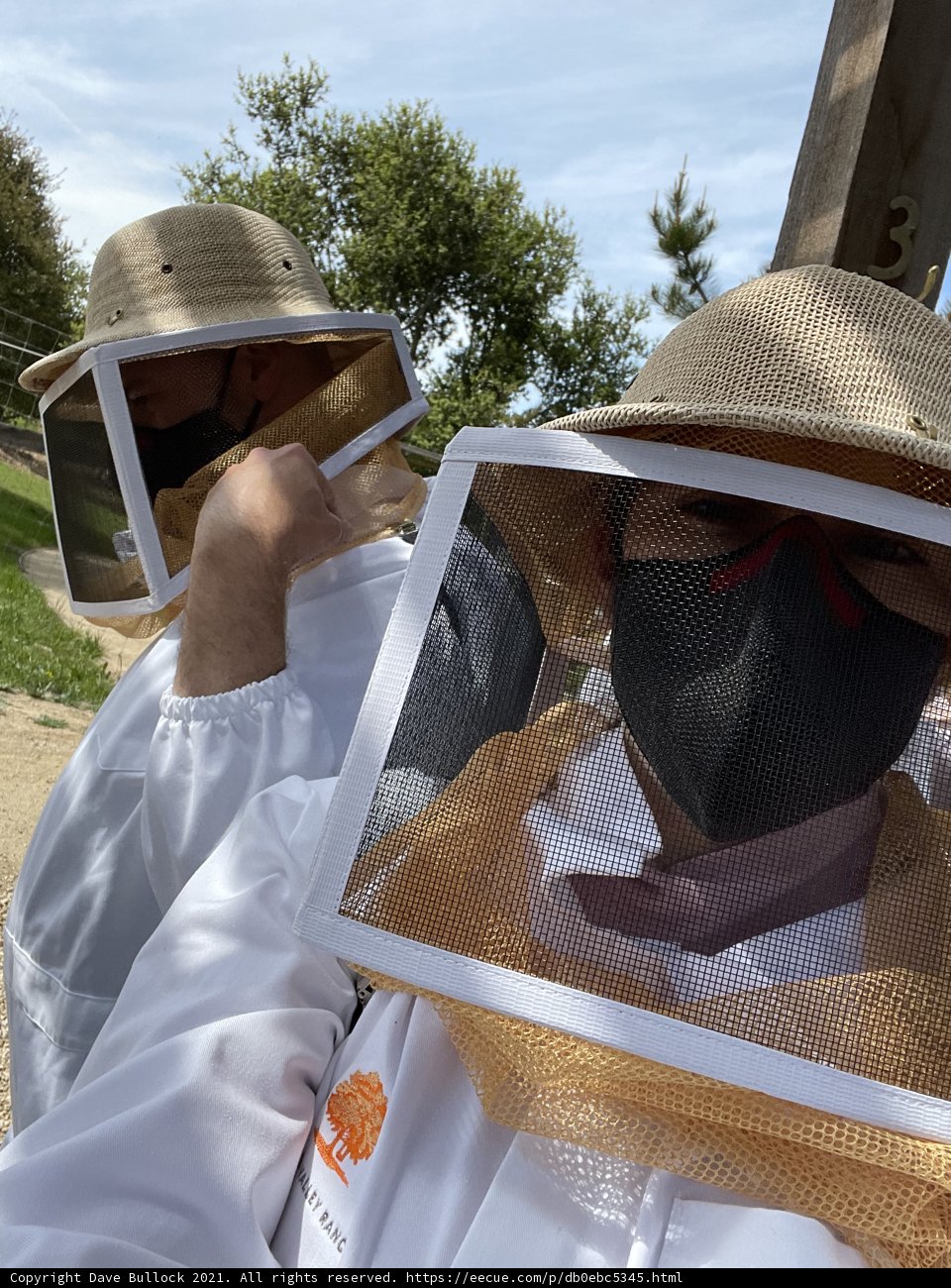 Beekeeping Buddies