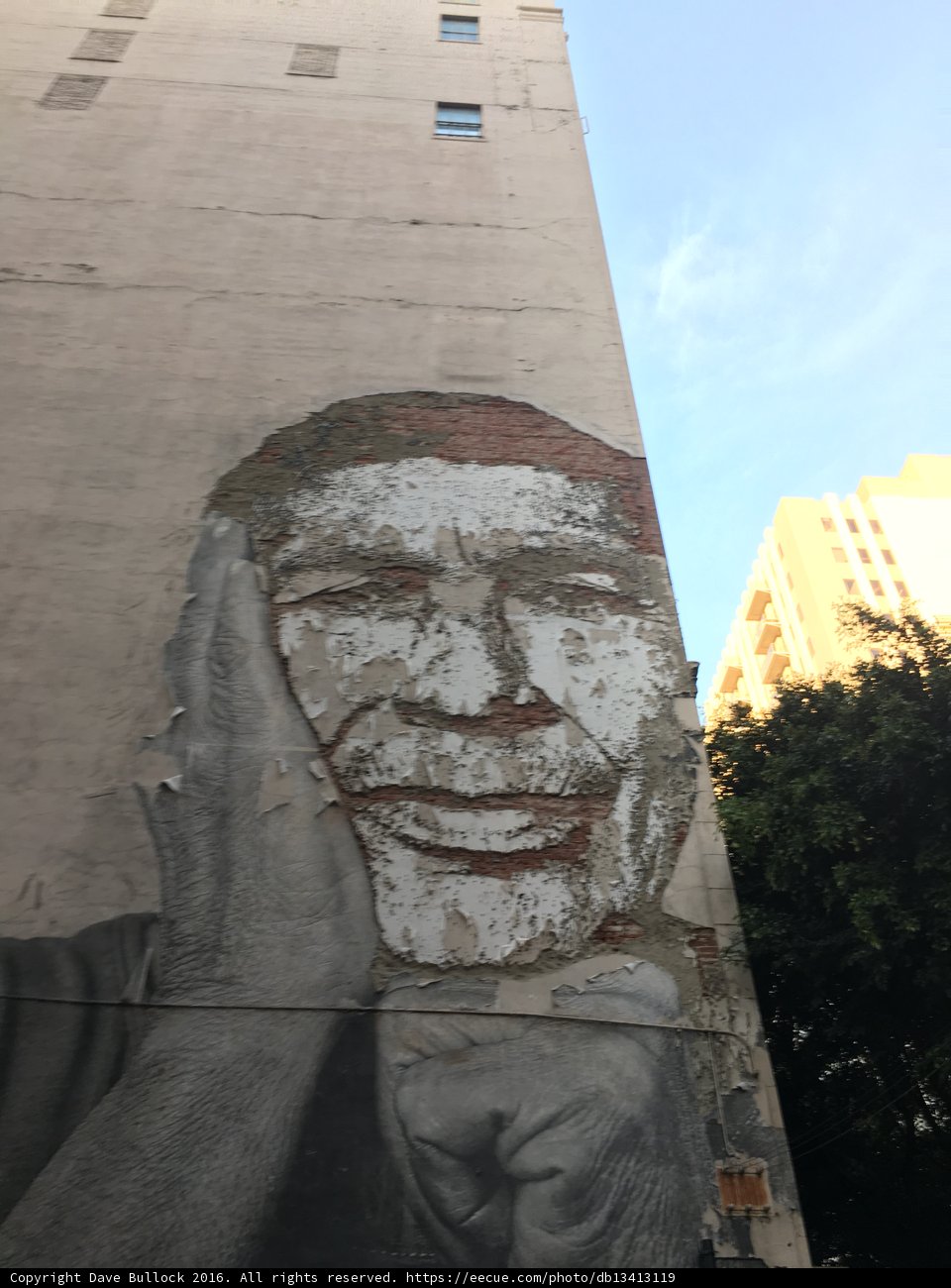 The Magnificent Mural