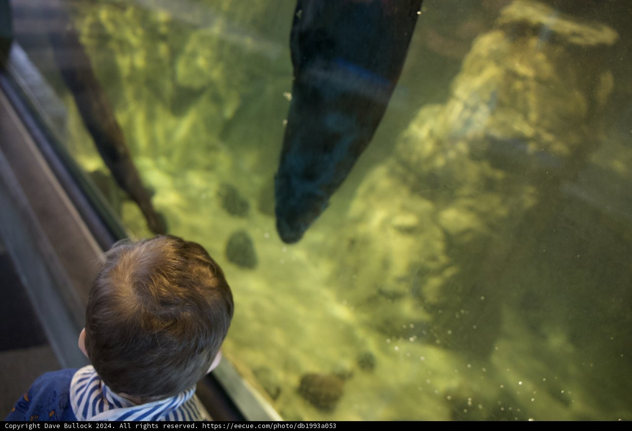 A Young Explorer's Aquatic Fascination