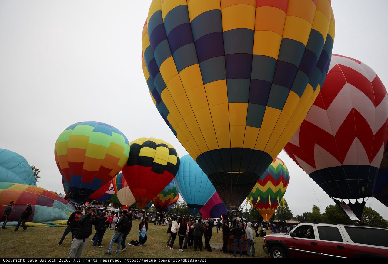 Colorful Hot Air Balloons Fill the Sky at Sonoma Classic