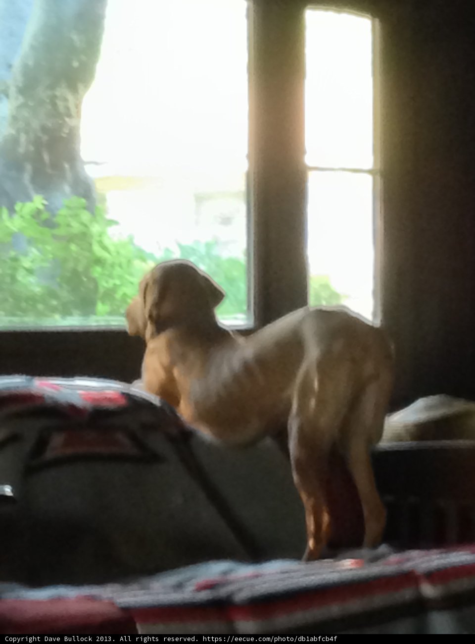 Window Watcher