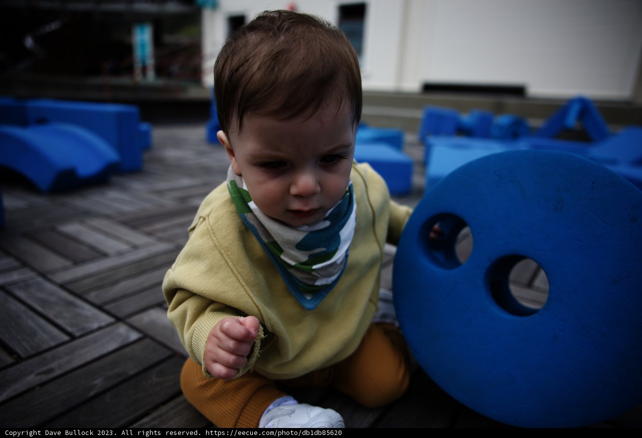 Building Blocks of Joy