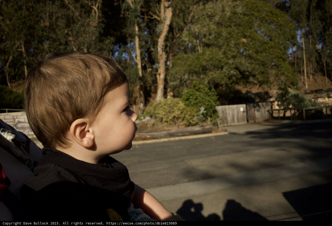 Zoo Adventure with Wesley