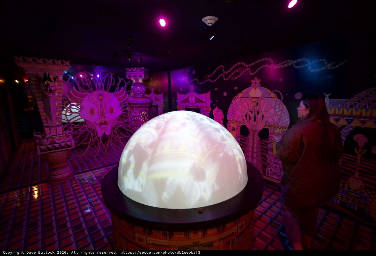 Illuminated Art Installation in Fantastical Purple Gallery