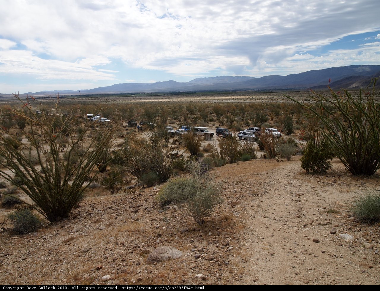 A Desert Drive