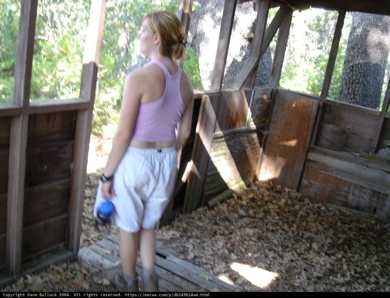 Woman in a Wooden Cabin