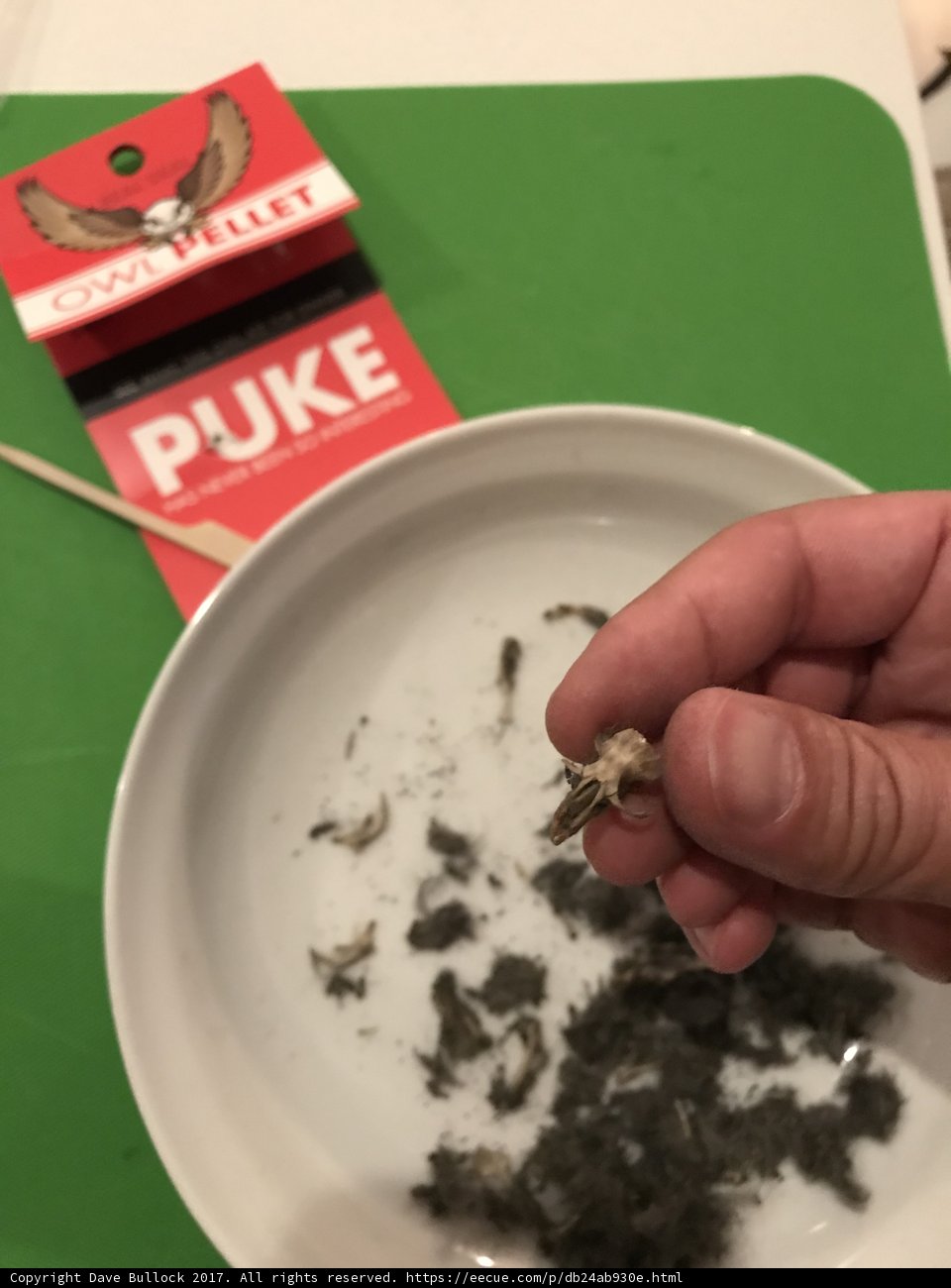 A Finger-Lickin' Plate of Meat