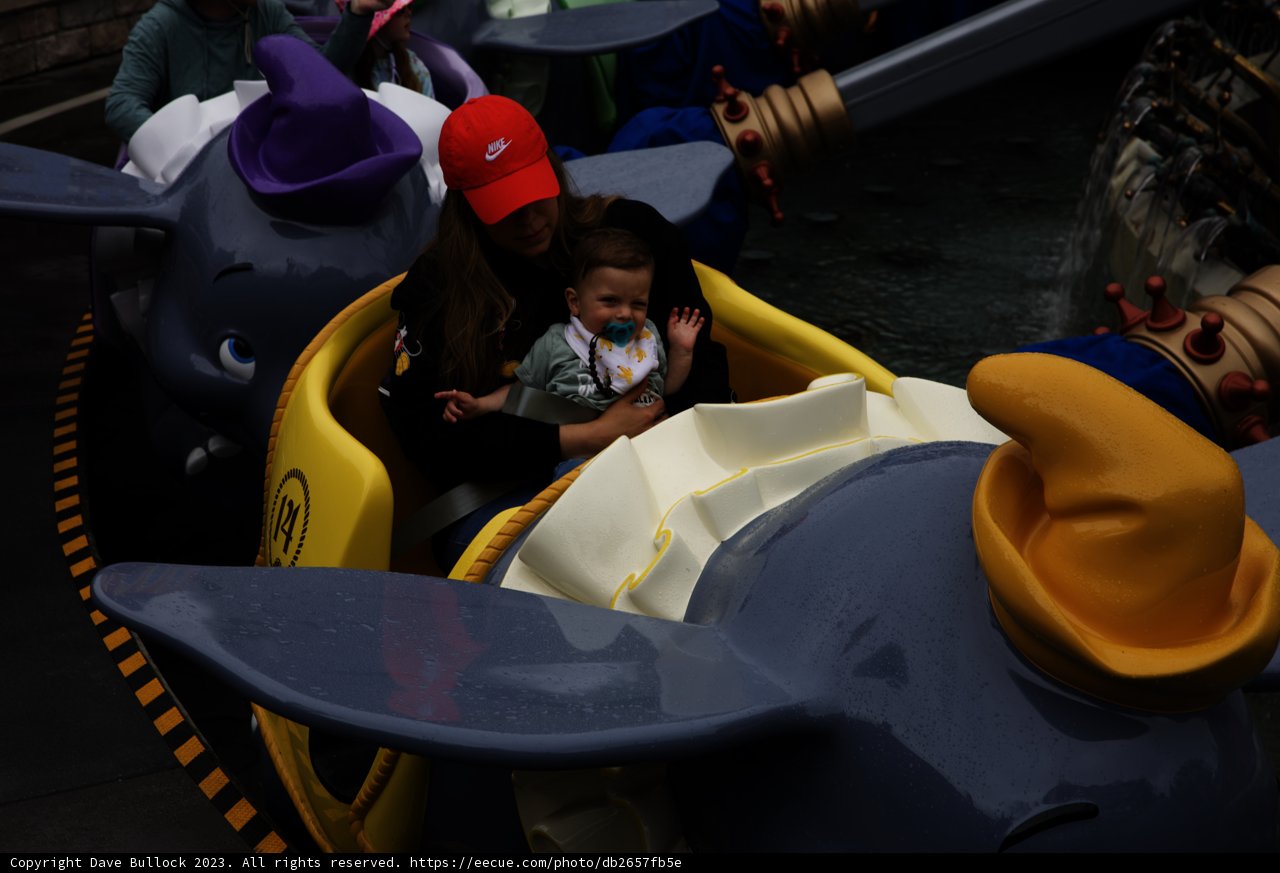 Magical Moments at Disneyland