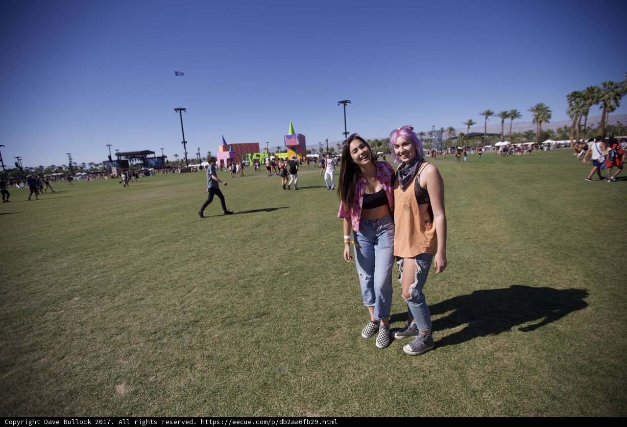 Friends in the Field