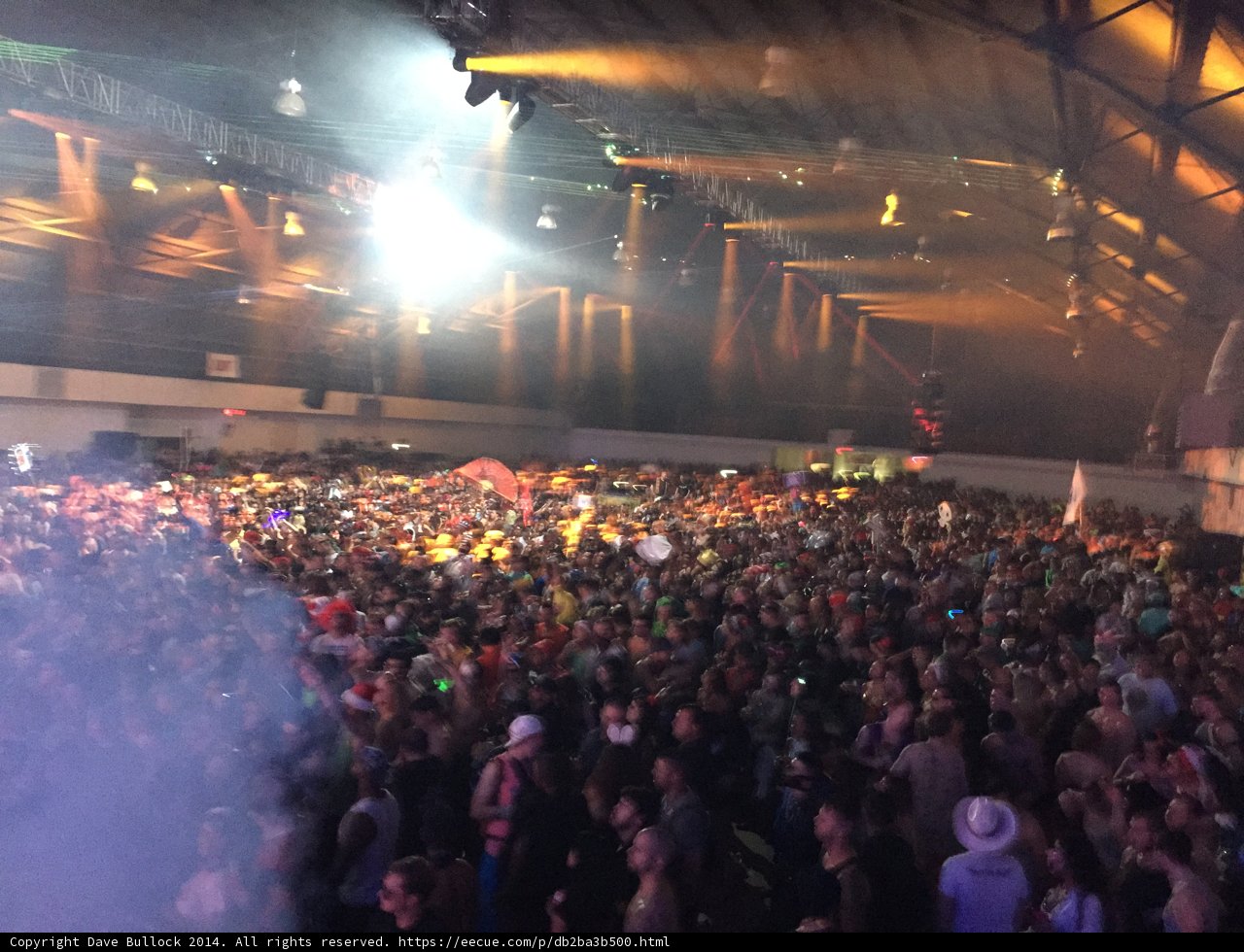 Spotlight on the Epic Crowd