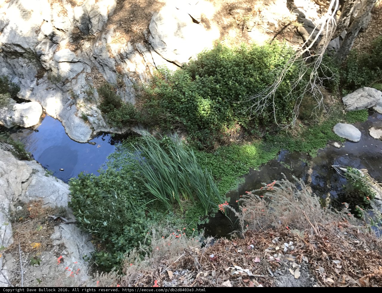 Rocky Creek
