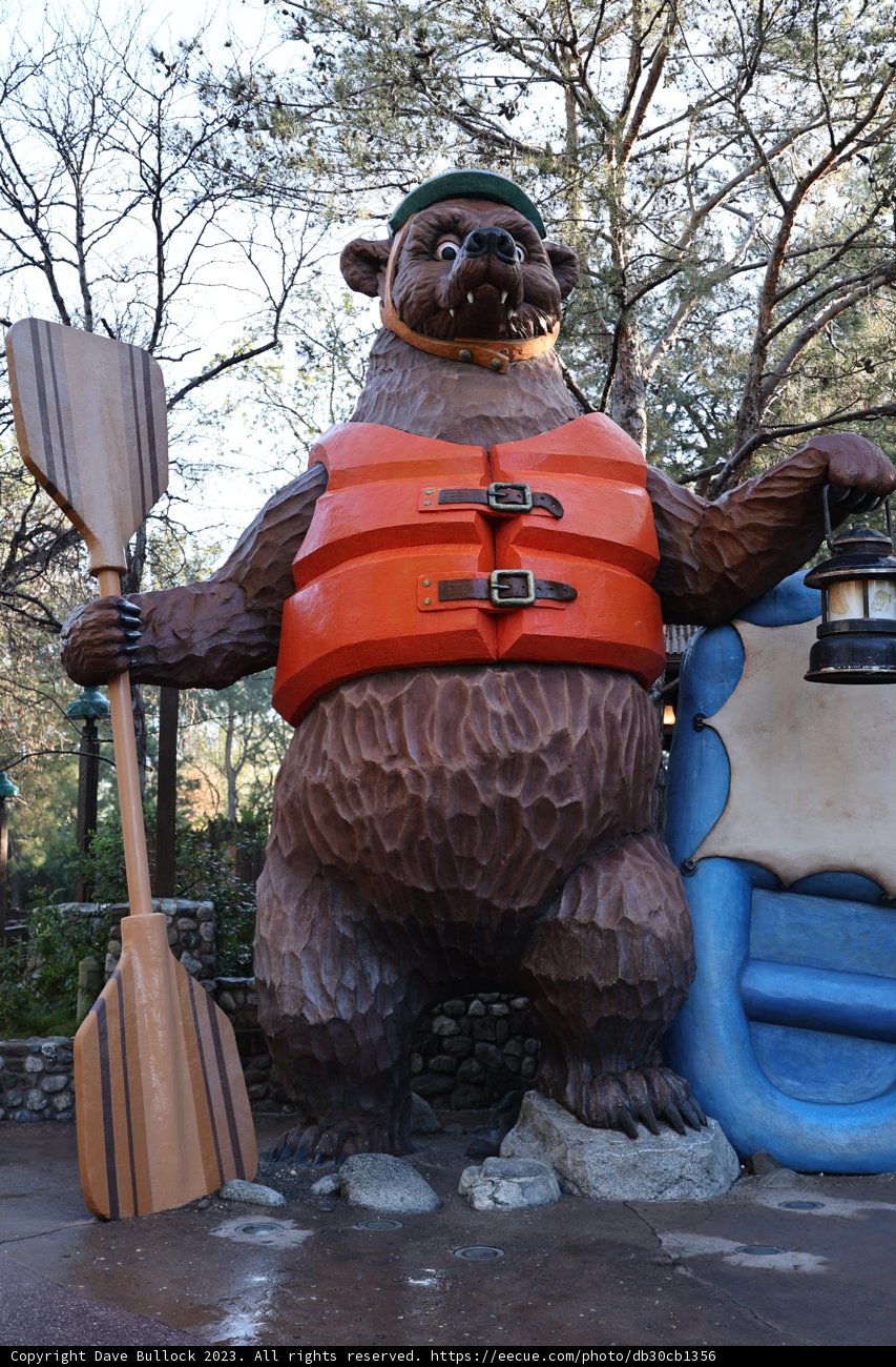 The Adventurous Bear