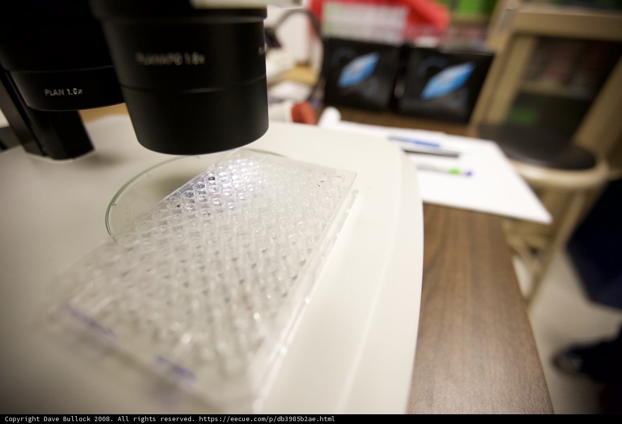 Examining Cells Under the Microscope