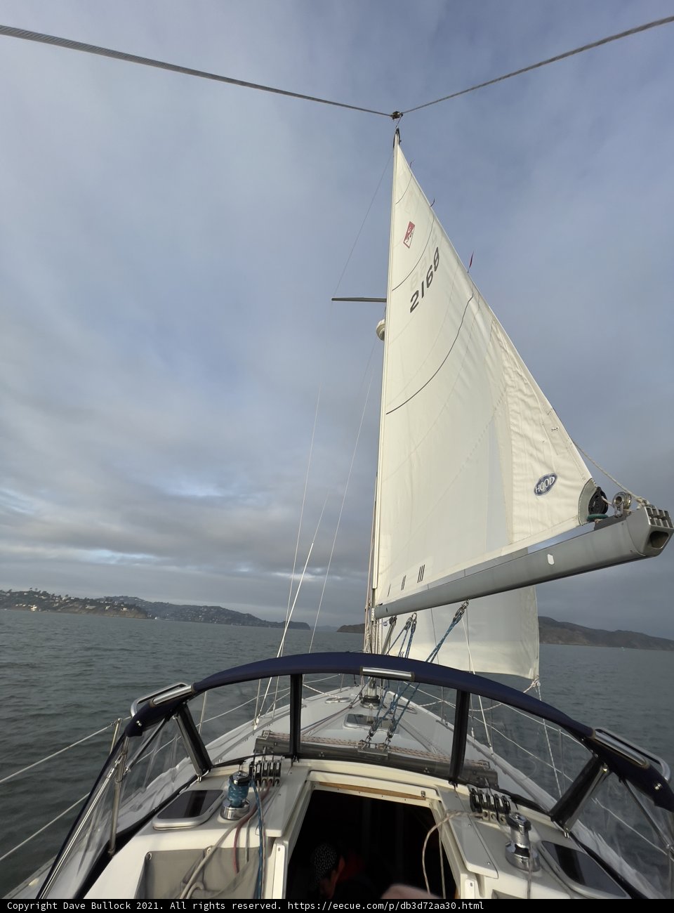 Sailing the Bay