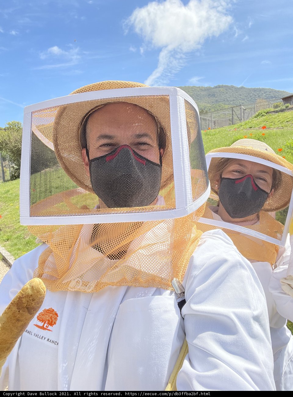 Beekeeping in the Countryside