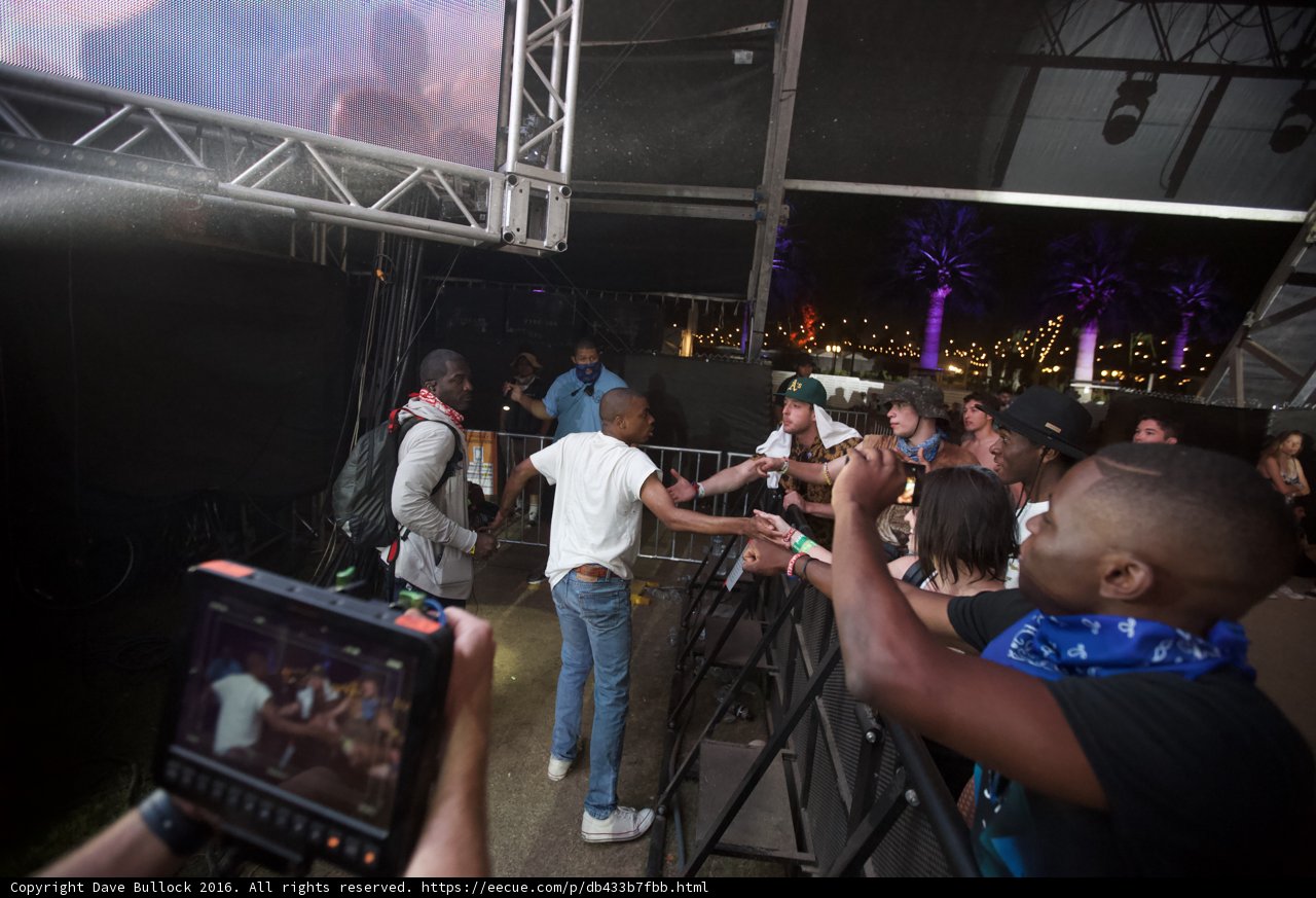 The Excited Crowd at Coachella