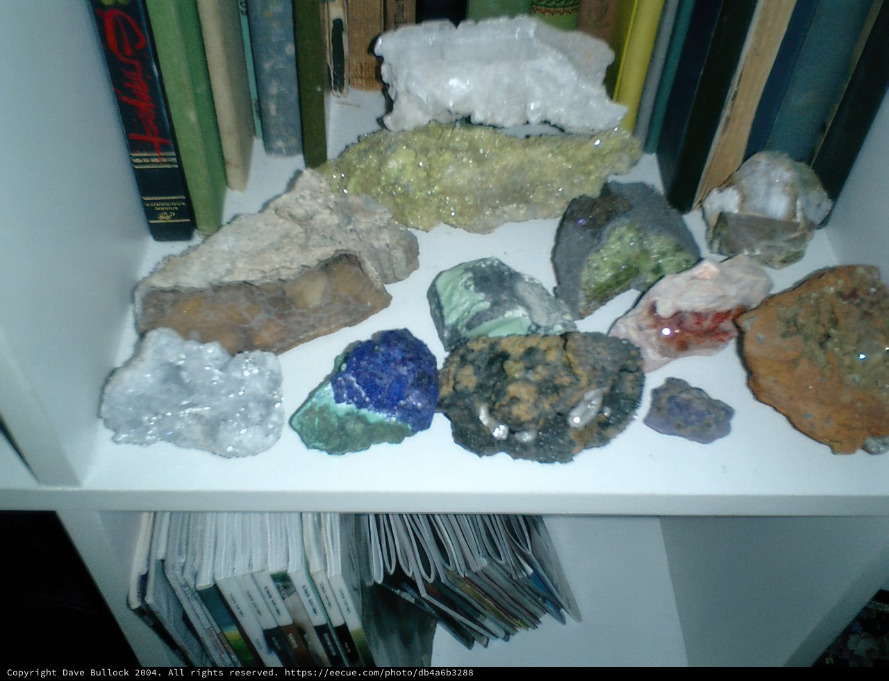 Rocks and Books: A Shelf Full of Treasures