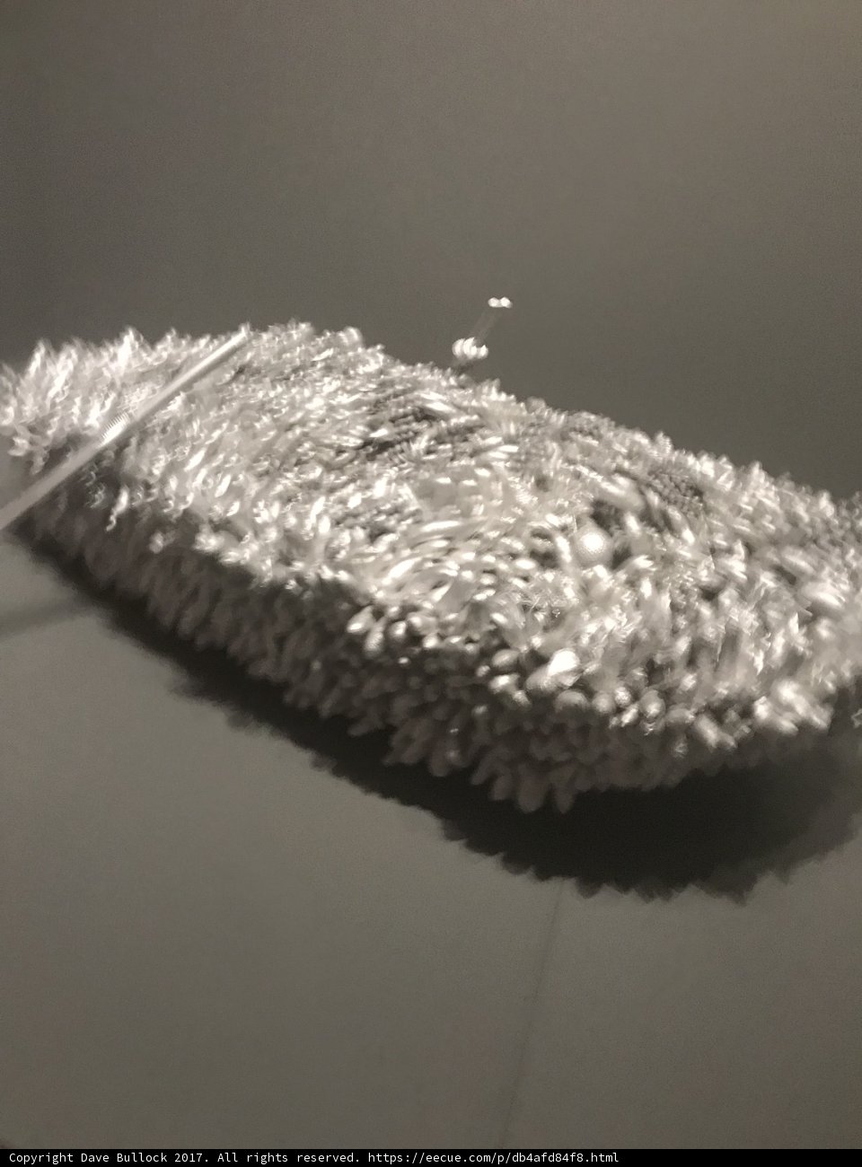 Silver Shoe with Shimmering String