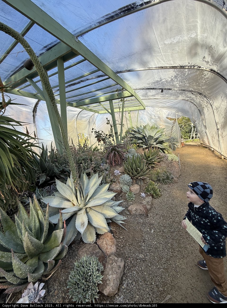 Exploring Nature's Wonders