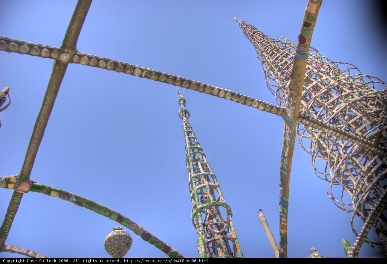 Towering Fun in the Amusement Park