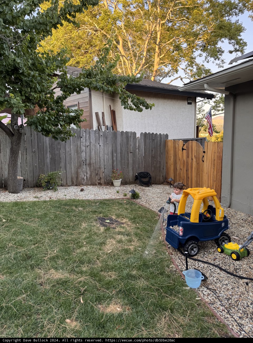 Backyard Adventures in Walnut Creek
