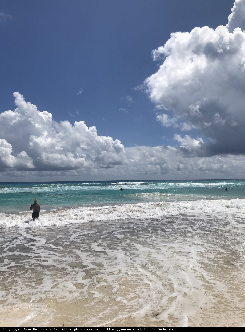 Standing Amidst the Majestic Ocean