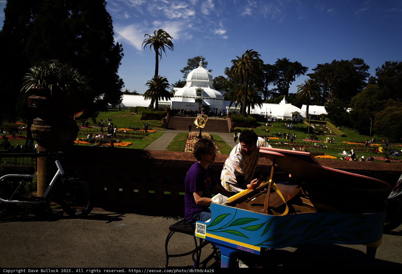 A Symphony in the Park